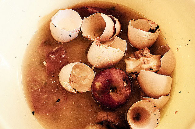 rotten food 3