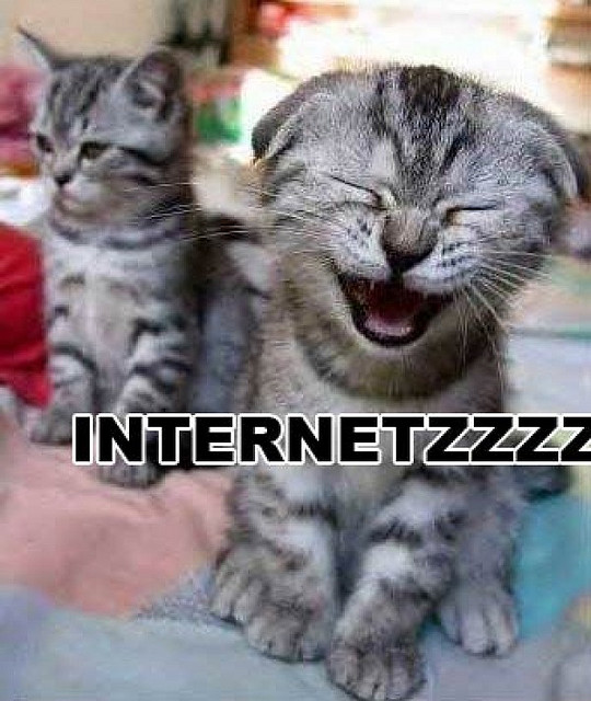 internetzzz lolcat