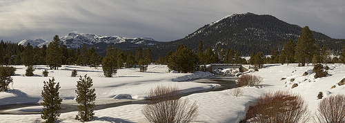 Snowy Bridge Panorama