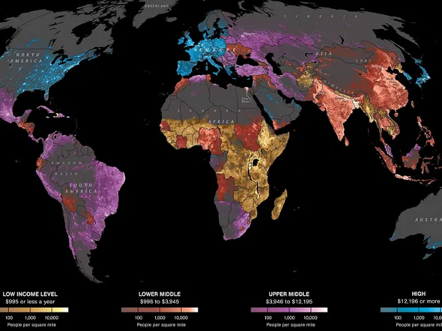 The Year In Data