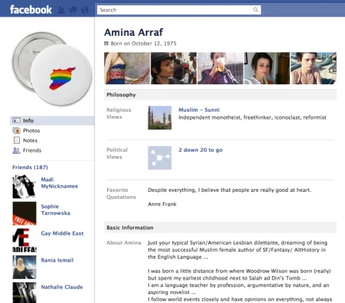 Journalistic Verification, Amina Arraf, and Haystack