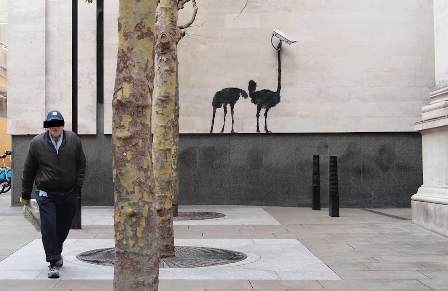 banksy_osterich-cctv_dec11_1000
