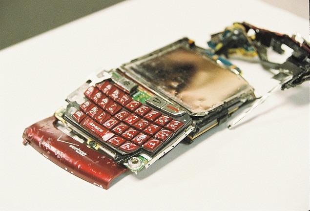 blackberry