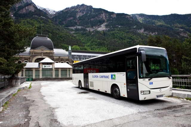 buss