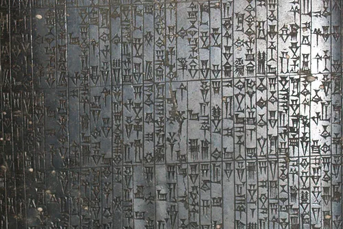 The Evolution of Human Code
