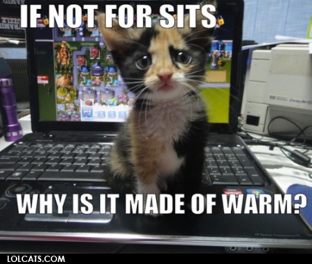 lolcatsdotcom3gp6wm7dw3jihq9t