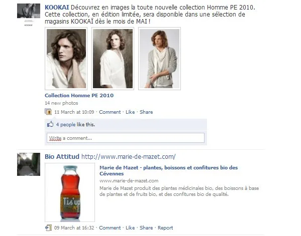 Unofficial Facebook pages: Brands vs Fans