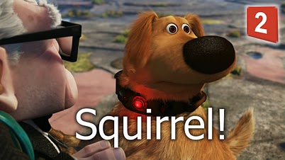 squirrel