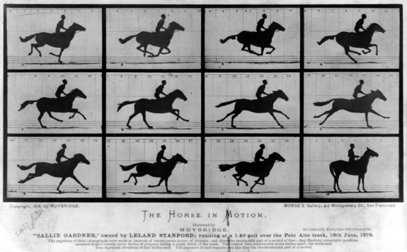 TheHorseinMotion_4f14a21e3c380_w587