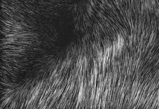 wind
