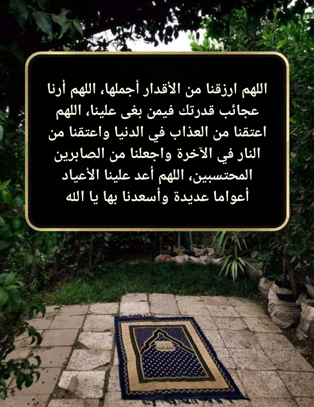 فضل الدعاء في يوم عرفة وأيام العشر من ذي الحجة