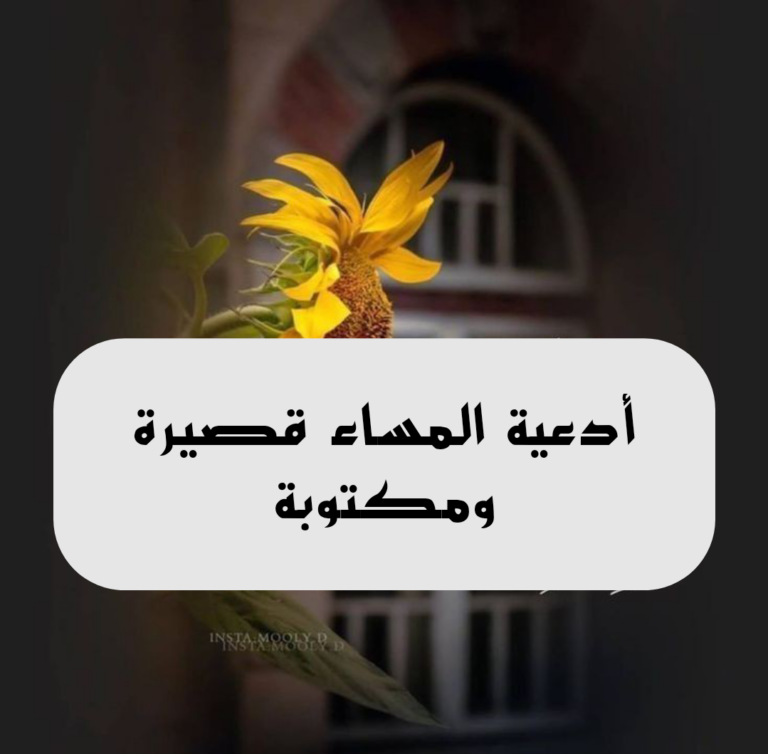 دعاء المساء مكتوب قصير (اللّهم توفنا مسلمين وأحينا مسلمين)