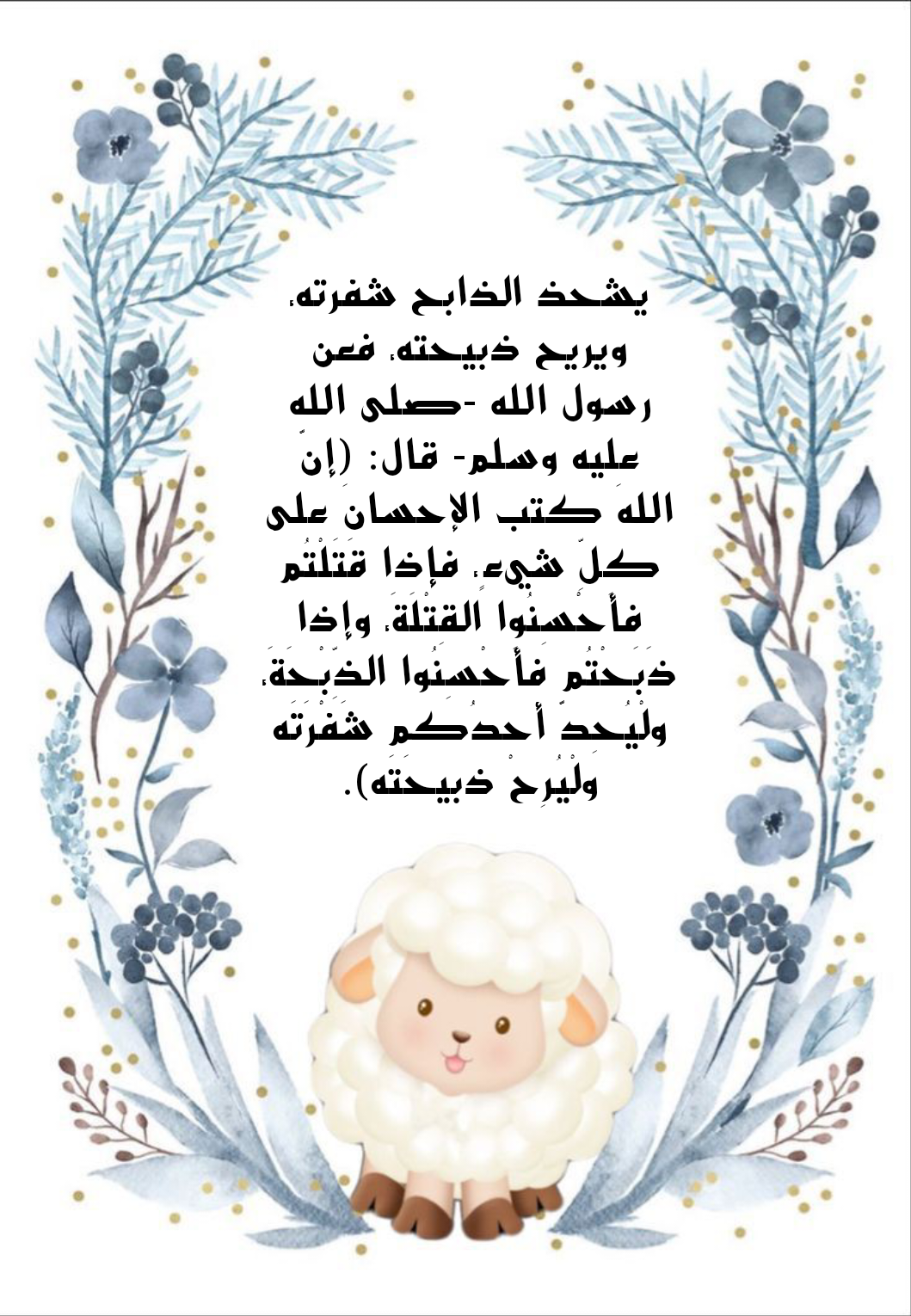 آداب الأضحية وكيفية توزيعها في الإسلام