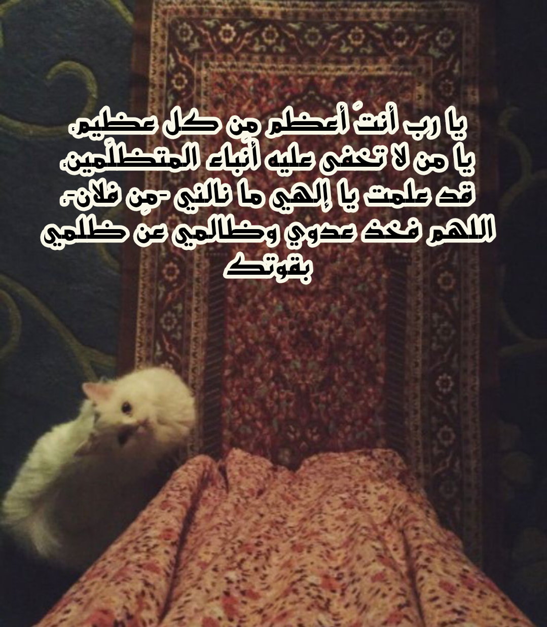 أدعية متنوعة على الظالم من السنة والقرآن