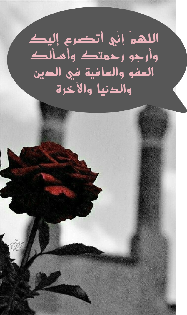 الدعاء لطلب الرزق في الأوقات الفاضلة كيوم عرفة