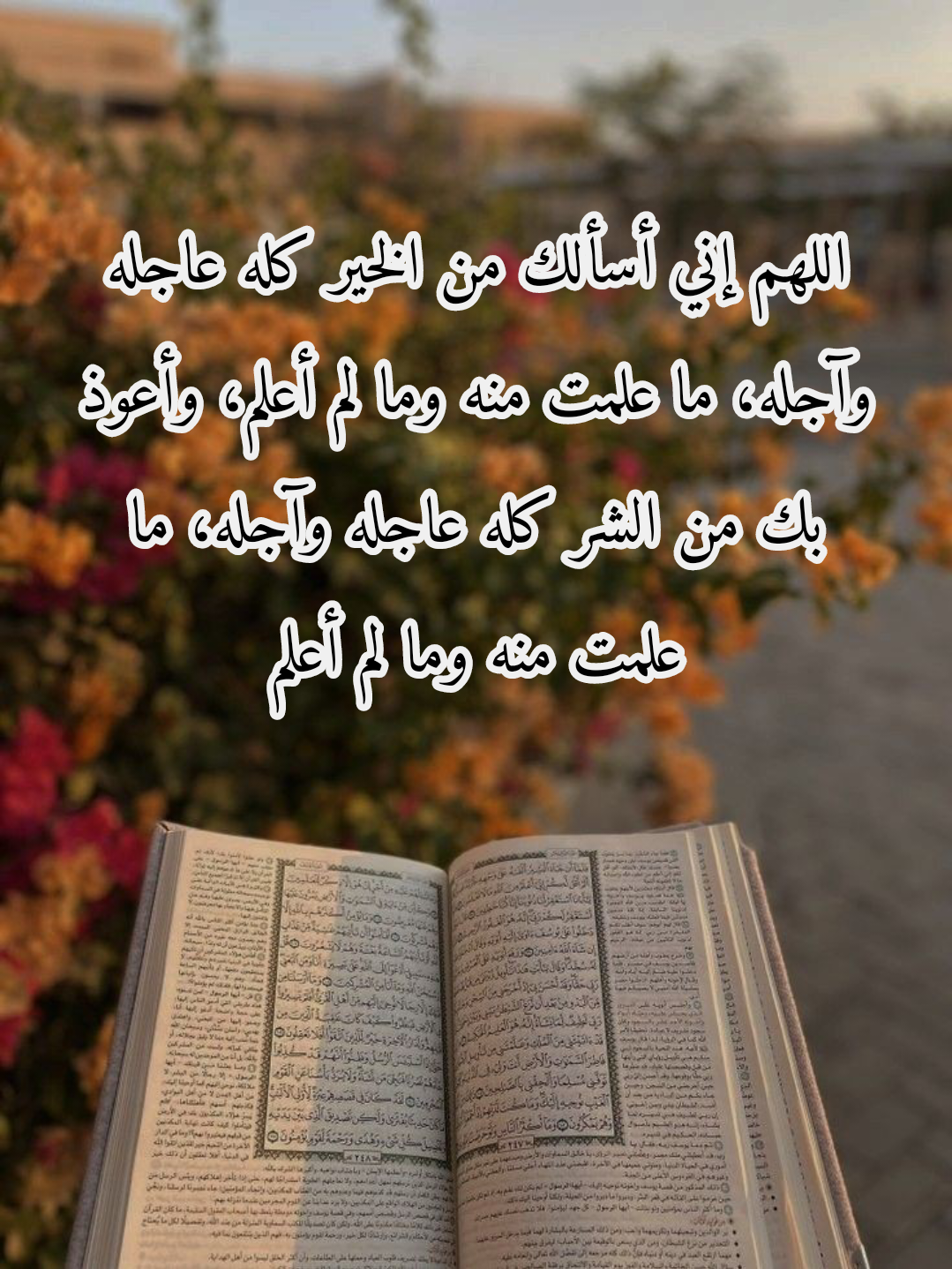 فضل الدعاء في شهر رمضان المبارك