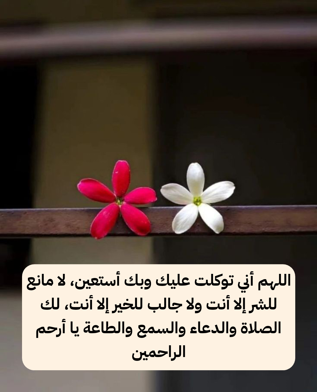 بيان حكم الأدعية الشائعة للقبول والمحبة